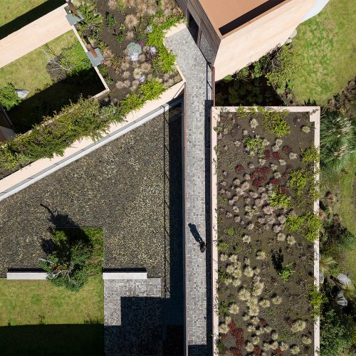 PASTIZAL-DIEZMULLER-JAG-0898-WEB-RGB