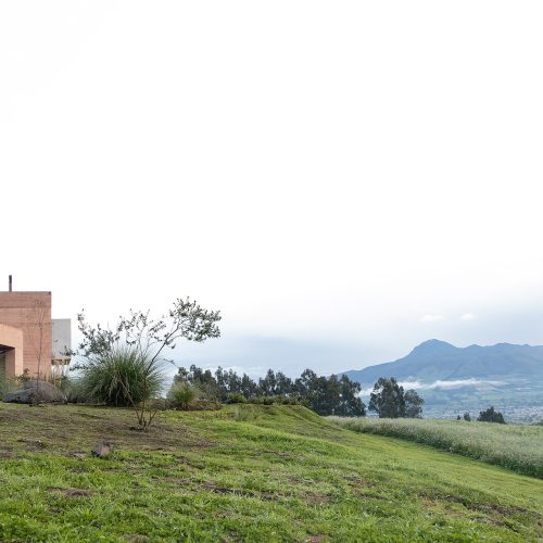 PASTIZAL-DIEZMULLER-JAG-3644-WEB-RGB