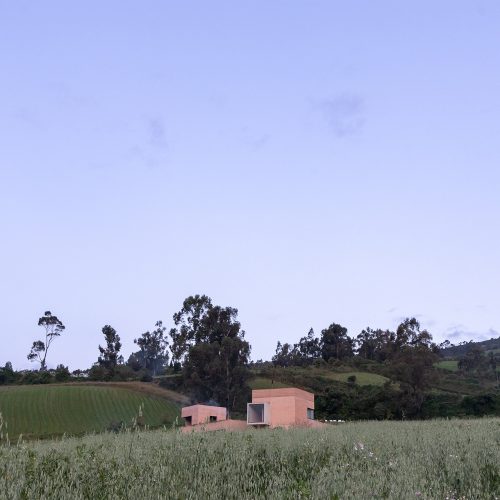 PASTIZAL-DIEZMULLER-JAG-3704-WEB-RGB