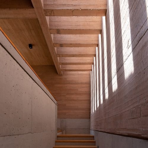 PASTIZAL-DIEZMULLER-JAG-4229-WEB-RGB