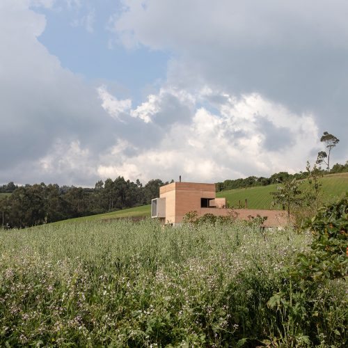 PASTIZAL-DIEZMULLER-JAG-4338-WEB-RGB